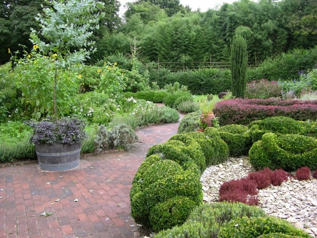 Landscaping Services