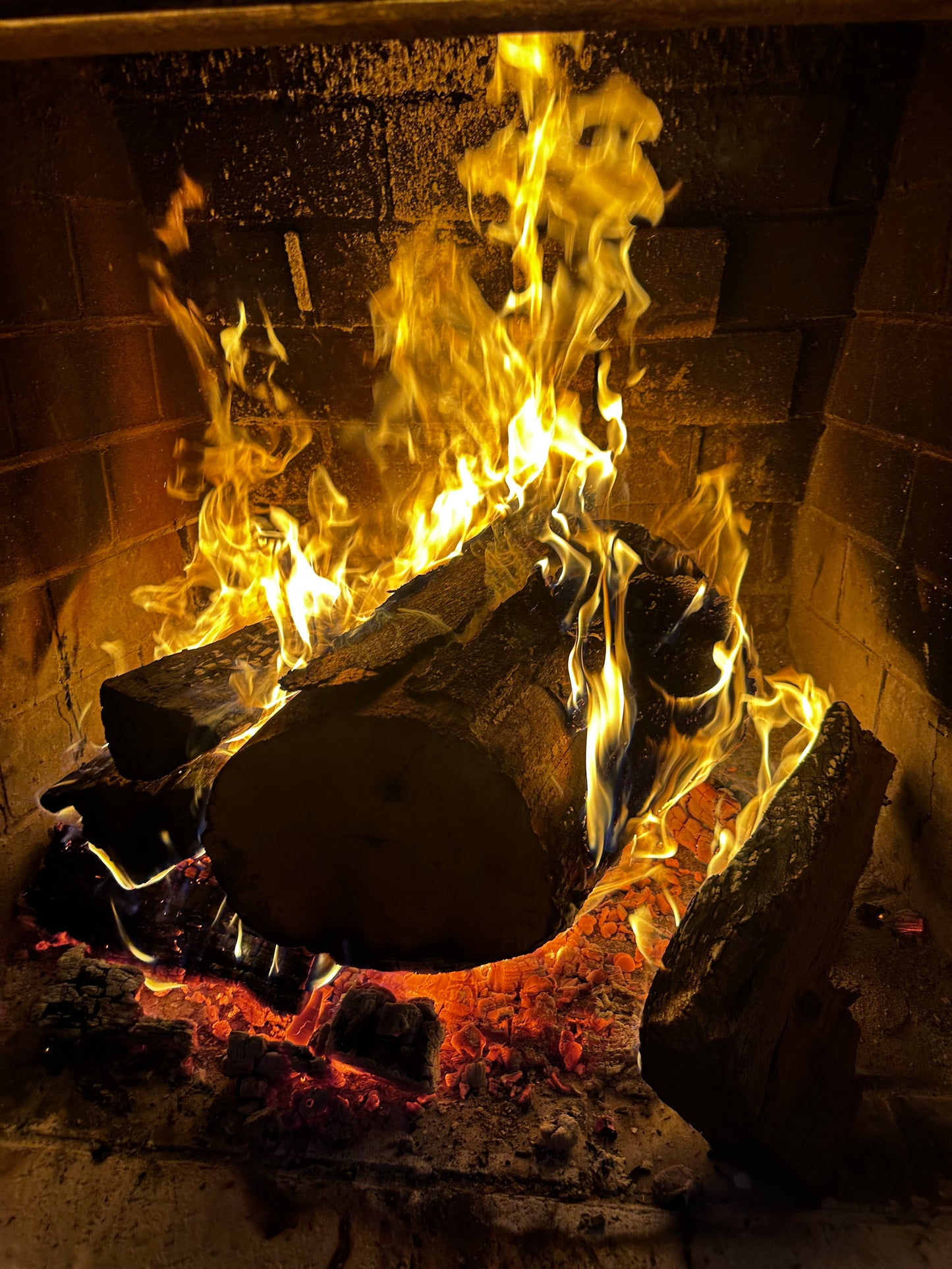 Seasoned Firewood